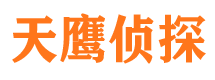 新建侦探公司